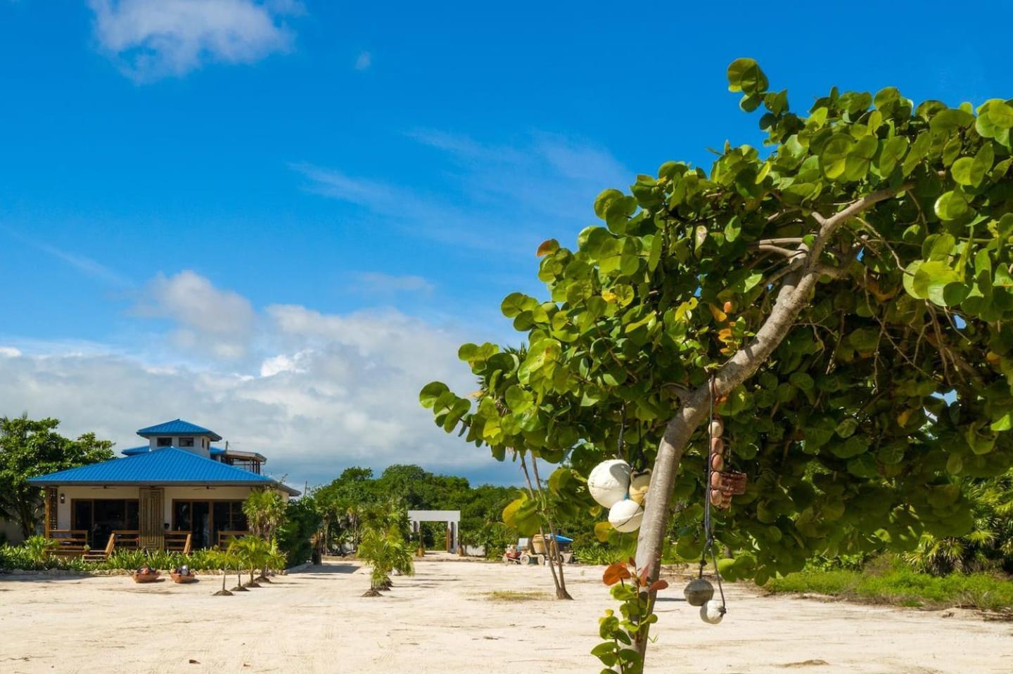 Exquisite Oceanfront Private Estate By Alom San Pedro (Ambergris Caye) Exterior foto