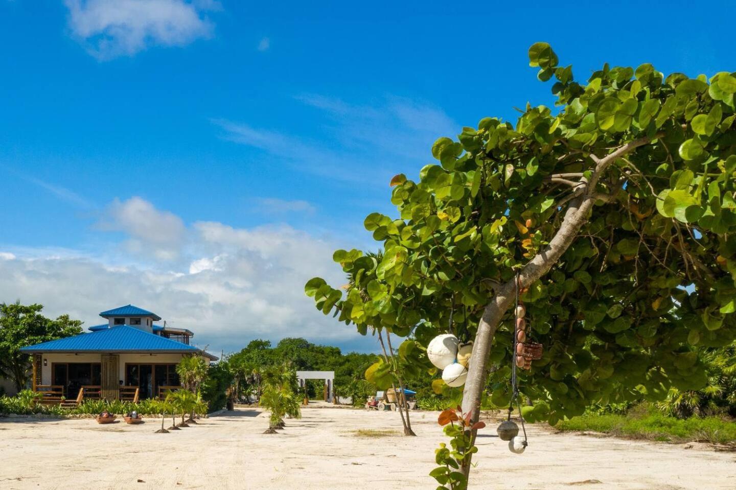 Exquisite Oceanfront Private Estate By Alom San Pedro (Ambergris Caye) Exterior foto
